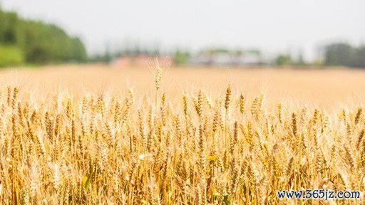 益丰配资 明星基金奖颁奖！中银基金中生代实力绽放